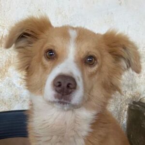 Novalis – geb. ca. 07/2023