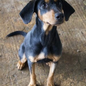 Frida – geb. ca. 01/2025