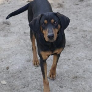 Frida – geb. ca. 01/2025