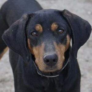 Frida – geb. ca. 01/2025