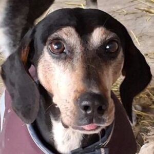 Magura – geb. ca. 01/2018