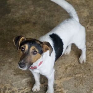 Möök – geb. ca. 04/2025