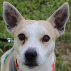 Mr. Handsome – geb. ca. 02/2025