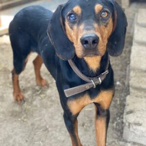 Nemo – geb. ca.  11/2024