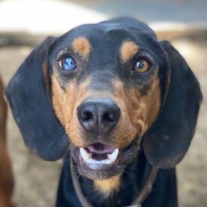 Nemo – geb. ca.  11/2024