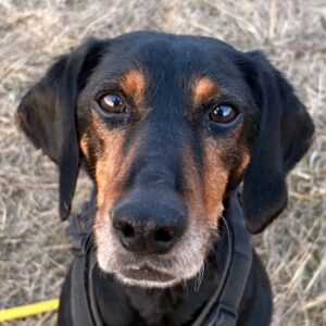 Neria – geb. ca. 11/2020 – 95168 Marktleuthen