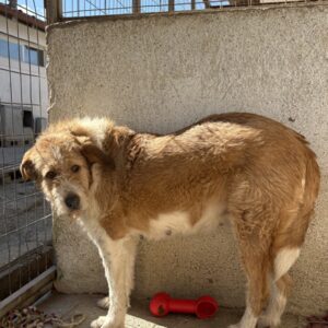 Yennefer – geb. ca. 05/2024