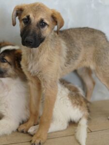 Anja – geb. ca. 12/2025