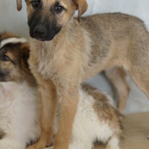 Anja – geb. ca. 12/2025