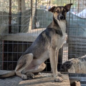 Arial – geb. ca. 12/2025