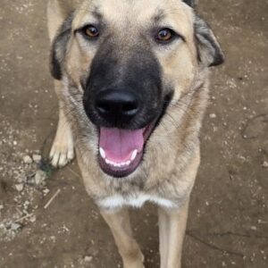 Eleanor – geb. ca. 11/2025