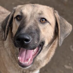 Eleanor – geb. ca. 11/2025