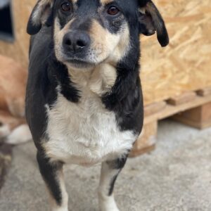 Elyas – geb. ca. 03/2023