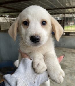 Katy – geb. ca. 11/2025