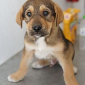 Kuba – geb. ca. 12/2025 – reserviert