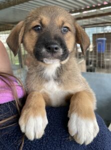 Mucki – geb. ca. 11/2025