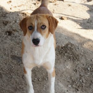 Palia – geb. ca. 09/2024