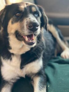 Rafiki – geb. ca. 12/2022