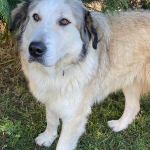 Winnie – geb. ca. 12/2023