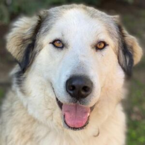 Winnie – geb. ca. 12/2023