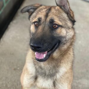 Yuki – geb. ca. 03/2025