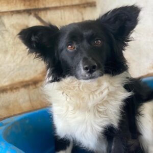 Aeris – geb. ca. 11/2024