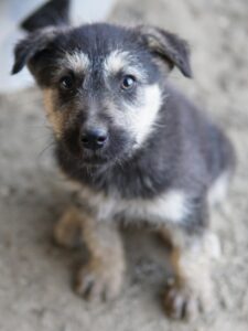 Hossam – geb. ca. 01/2026