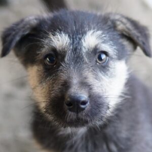 Hossam – geb. ca. 01/2026