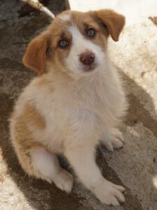 Josefine – geb. ca. 12/2025