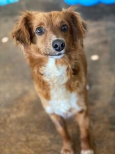 Klara – geb. ca. 04/2025