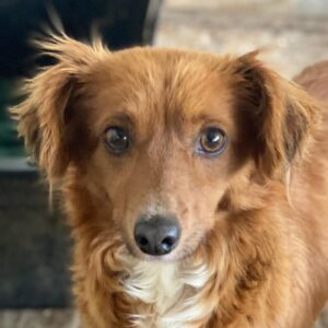 Klara – geb. ca. 04/2025