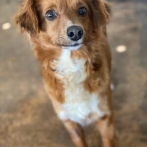 Konrada – geb. ca. 04/2025