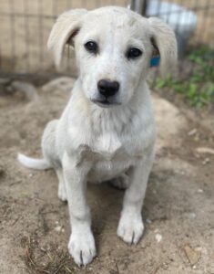 Mochina – geb. ca. 01/2026