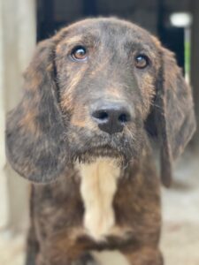 Philip – geb. ca. 11/2025