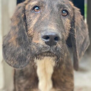 Philip – geb. ca. 11/2025