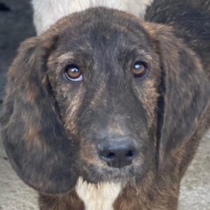 Philip – geb. ca. 11/2025