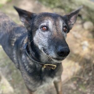 Priyanka – geb. ca. 03/2017