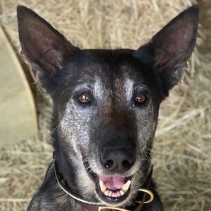 Priyanka – geb. ca. 03/2017