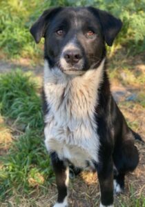 Sora – geb. ca 03/2025