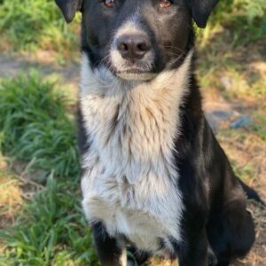 Sora – geb. ca 03/2025