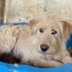 Susan – geb. ca. 04/2024