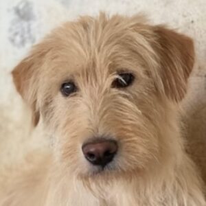 Susan – geb. ca. 04/2024