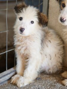 Twy – geb. ca. 12/2025