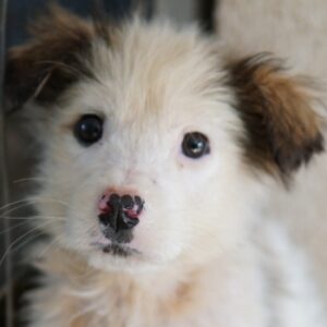 Twy – geb. ca. 12/2025