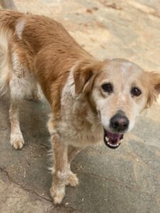 Vivien – geb. ca. 06/2014