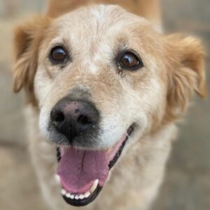 Vivien – geb. ca. 06/2014