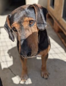 Carl – geb. ca. 05/2021