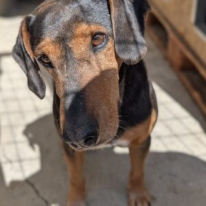 Carl – geb. ca. 05/2021
