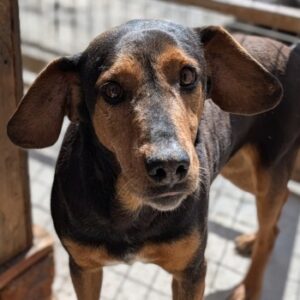 Carl – geb. ca. 05/2021