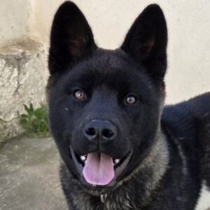 Franzi – geb. ca. 07/2025